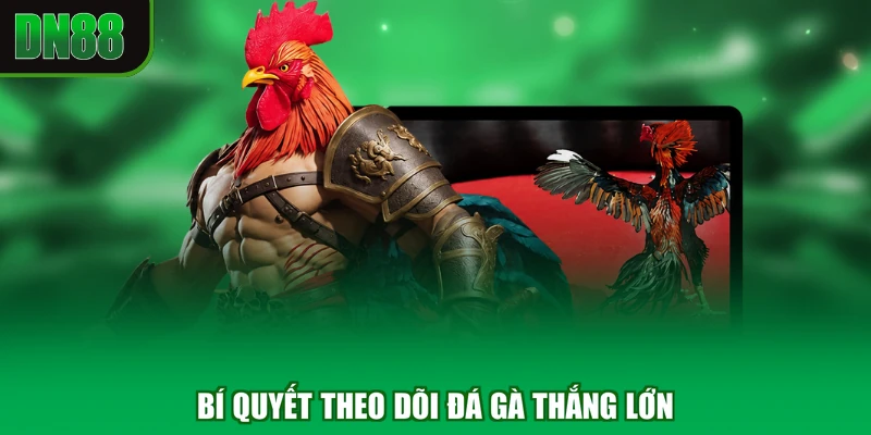 Bí quyết theo dõi Đá Gà thắng lớn