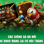 Các Giống Gà Đá Nổi Tiếng DN88 Mang Lại Cơ Hội Thắng Lớn