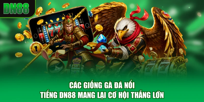 Các Giống Gà Đá Nổi Tiếng DN88 Mang Lại Cơ Hội Thắng Lớn