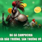Đá Gà Campuchia - Rực Lửa Đấu Trường, Săn Thưởng Vô Song