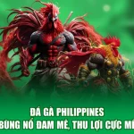 Đá Gà Philippines - Bùng Nổ Đam Mê, Thu Lợi Cực Mê