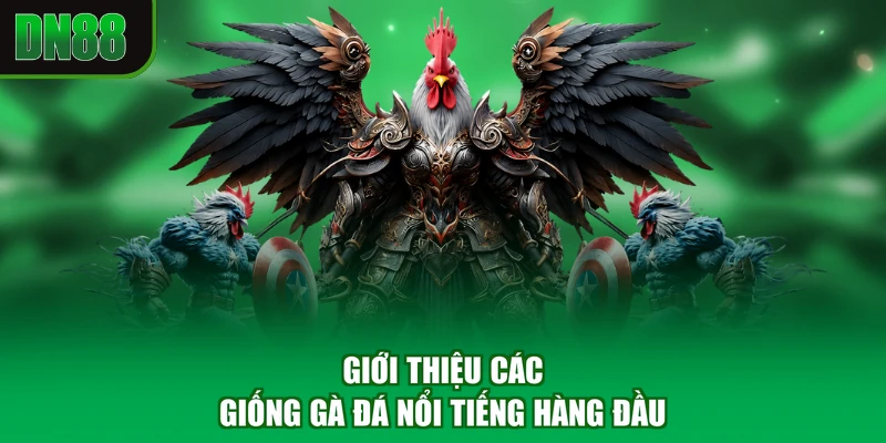 Giới thiệu các giống gà đá nổi tiếng hàng đầu