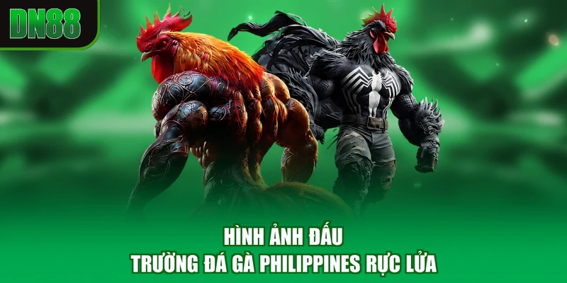 Hình ảnh đấu trường Đá Gà Philippines rực lửa