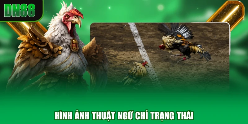 Hình ảnh thuật ngữ chỉ trạng thái