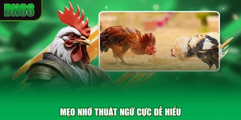 Mẹo nhớ thuật ngữ cực dễ hiểu