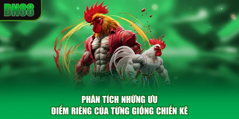 Phân tích những ưu điểm riêng của từng giống chiến kê