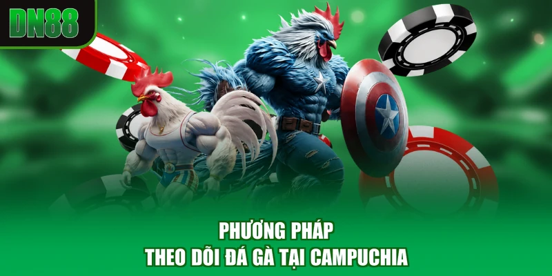 Phương pháp theo dõi đá gà tại Campuchia