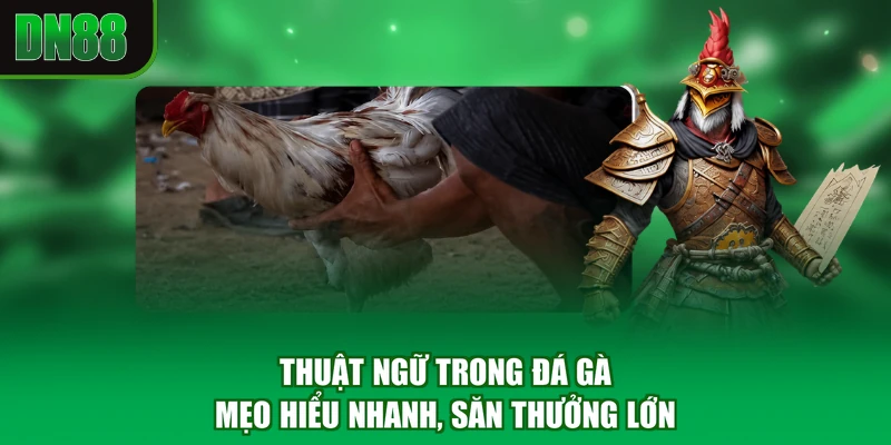 Thuật Ngữ Trong Đá Gà - Mẹo Hiểu Nhanh, Săn Thưởng Lớn