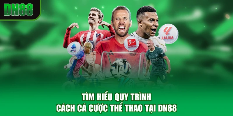 Tìm hiểu quy trình cách cá cược thể thao tại DN88
