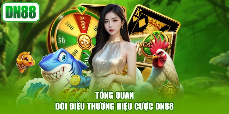 Tổng quan đôi điều thương hiệu cược DN88