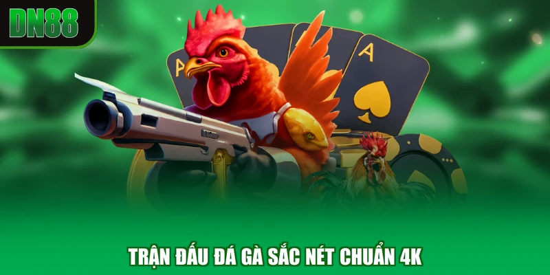 Trận đấu Đá Gà sắc nét chuẩn 4K
